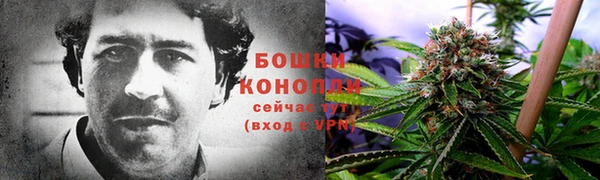 COCAINE Богданович